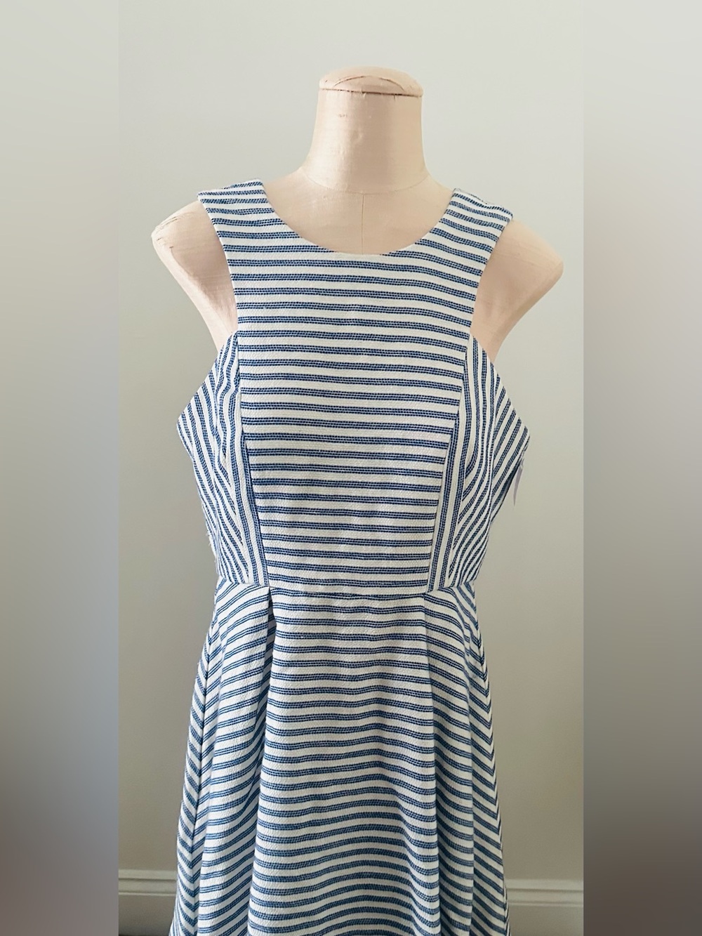 BCBG Generation Striped Blue & White Sleeveless Fit-and-Flare Dress
